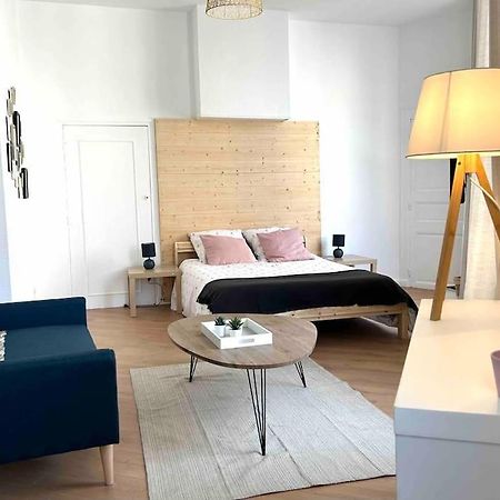 Studio Le «Victor Hugo» , Hyper Centre Ville Vienne  Exteriér fotografie