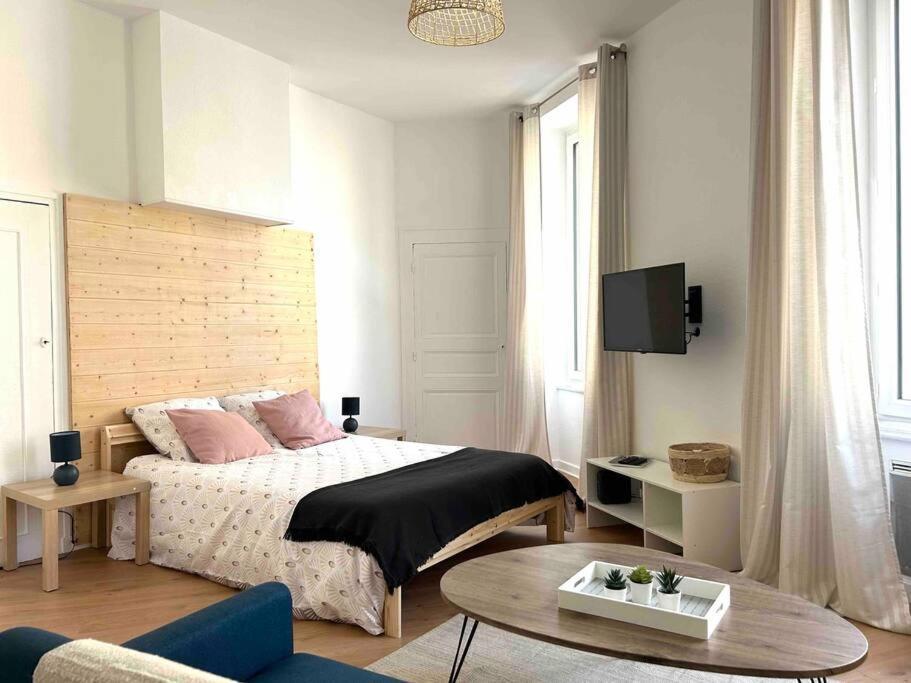 Studio Le «Victor Hugo» , Hyper Centre Ville Vienne  Exteriér fotografie
