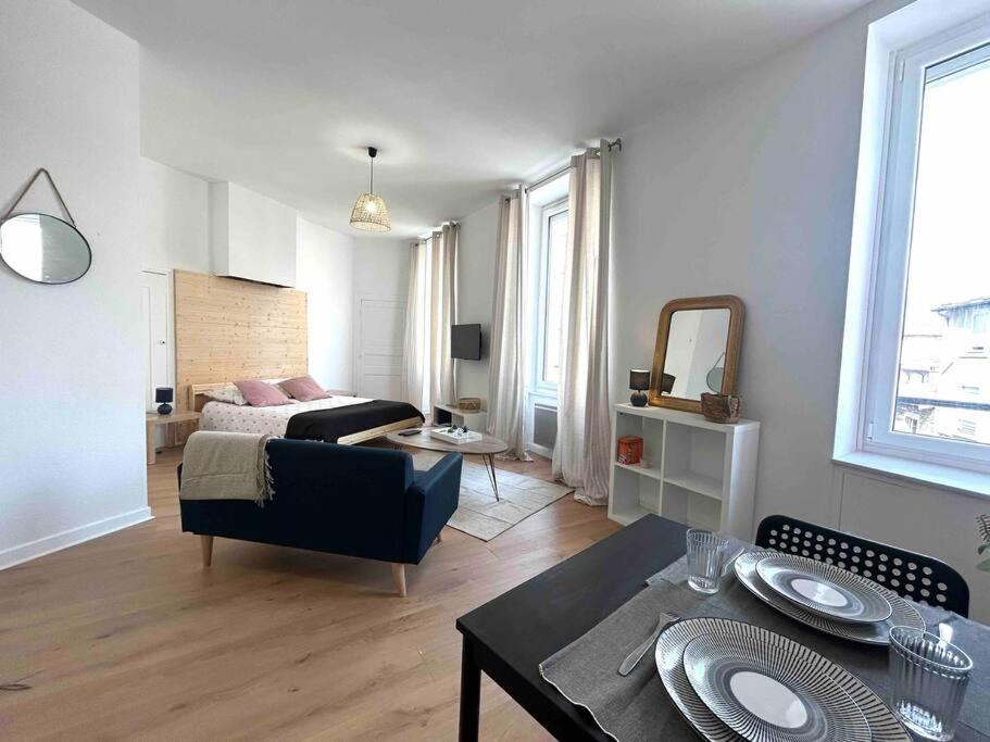 Studio Le «Victor Hugo» , Hyper Centre Ville Vienne  Exteriér fotografie